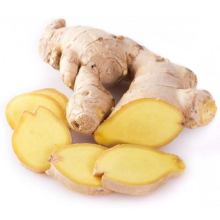 2021 High Quality Export Natural Chinese New Fresh Organic Ginger Whole To Export